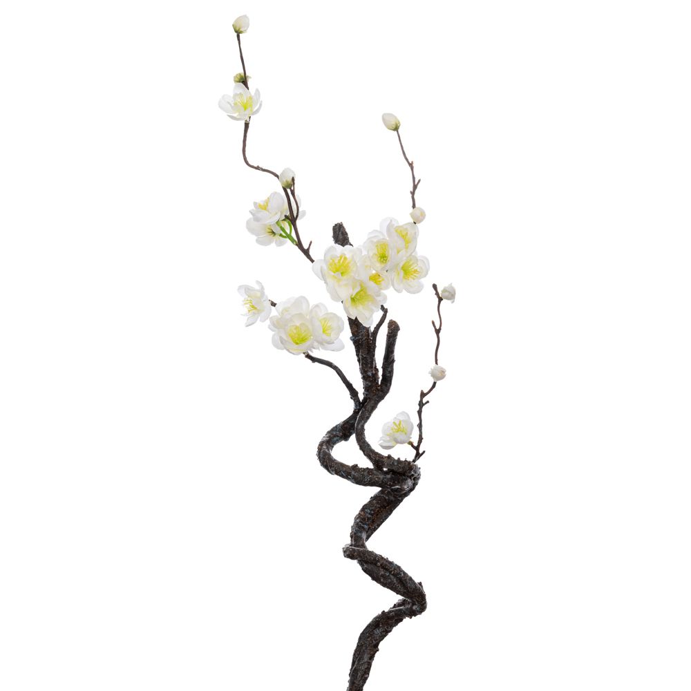 ΑΜΥΓΔΑΛΙΑ ΛΕΥΚΗ 40ΕΚ ΑΜΥΓΔΑΛΙΑ ΛΕΥΚΗ 40ΕΚ