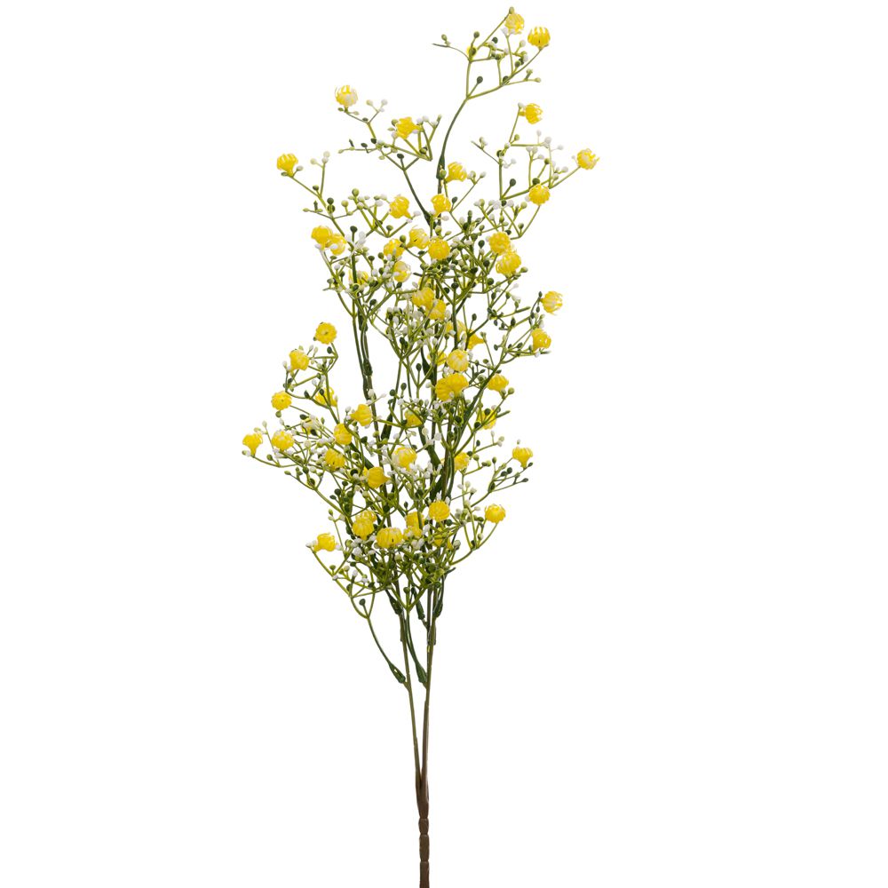 ΚΛΑΔΙ ΚΙΤΡΙΝΟ ΨΙΛΟΛΟΥΔΟ 67ΕΚ ΚΛΑΔΙ ΚΙΤΡΙΝΟ ΨΙΛΟΛΟΥΔΟ 67ΕΚ