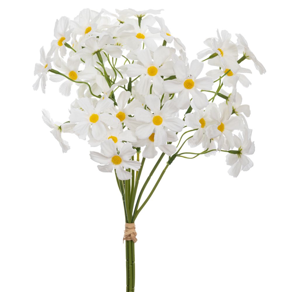 ΡΙΖΑΚΙ 26ΕΚ ΜΑΡΓΑΡΙΤΑ ΡΙΖΑΚΙ 26ΕΚ ΜΑΡΓΑΡΙΤΑ