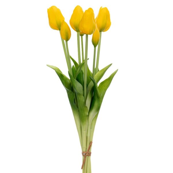 ΤΟΥΛΙΠΑ Χ7 ΚΙΤΡΙΝΗ ΜΠΟΥΚΕΤΟ