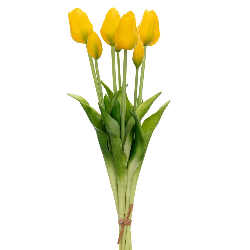 ΤΟΥΛΙΠΑ Χ7 ΚΙΤΡΙΝΗ ΜΠΟΥΚΕΤΟ ΤΟΥΛΙΠΑ Χ7 ΚΙΤΡΙΝΗ ΜΠΟΥΚΕΤΟ