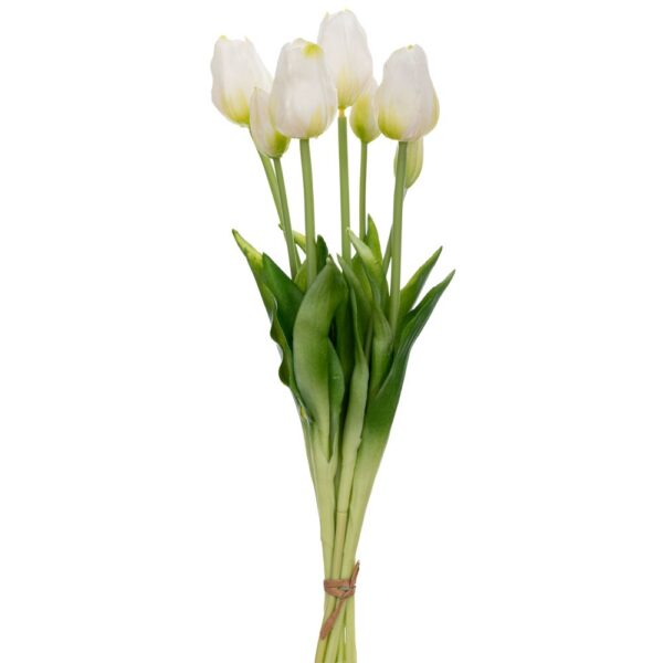 ΤΟΥΛΙΠΑ Χ7 ΠΡΑΣΙΝΗ ΜΠΟΥΚΕΤΟ