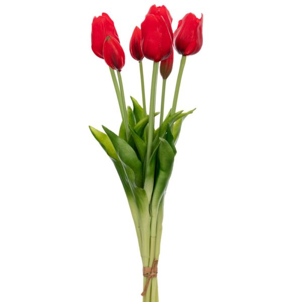 ΤΟΥΛΙΠΑ Χ7 ΚΟΚΚΙΝΟ ΜΠΟΥΚΕΤΟ