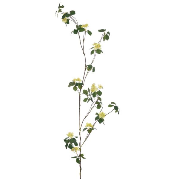 ΚΛΑΔΙ ΠΡΑΣΙΝΟ ΜΕ ΨΙΛΟΛΟΥΔΟ 116ΕΚ ΔΙΑΚΟΣΜΗΤΙΚΟ