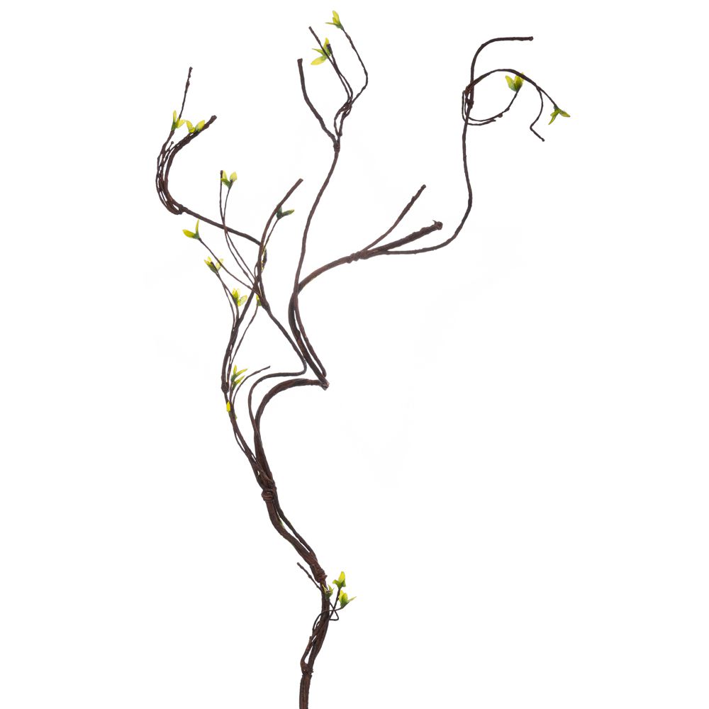 ΚΛΙΜΑΤΣΙΔΑ 131ΕΚ ΜΕ ΠΡΑΣΙΝΑ ΑΝΘΑΚΙΑ ΚΛΙΜΑΤΣΙΔΑ 131ΕΚ ΜΕ ΠΡΑΣΙΝΑ ΑΝΘΑΚΙΑ