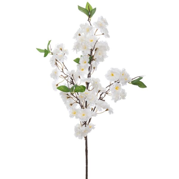 ΚΛΑΔΙ ΚΕΡΑΣΙΑ 94ΕΚ ΛΕΥΚΗ