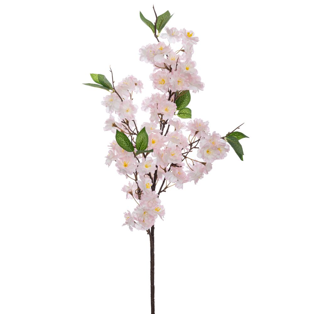 ΚΛΑΔΙ ΚΕΡΑΣΙΑ 94ΕΚ ΡΟΖ ΚΛΑΔΙ ΚΕΡΑΣΙΑ 94ΕΚ ΡΟΖ