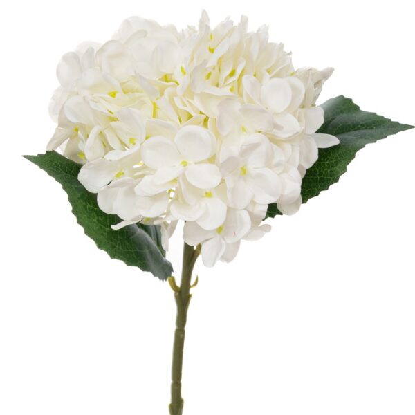 ΓΙΓΑΣ ΚΛΑΔΙ ΜΕ ΚΡΕΜ ΟΡΤΑΝΣΙΑ REAL TOUCH 45ΕΚ Φ15