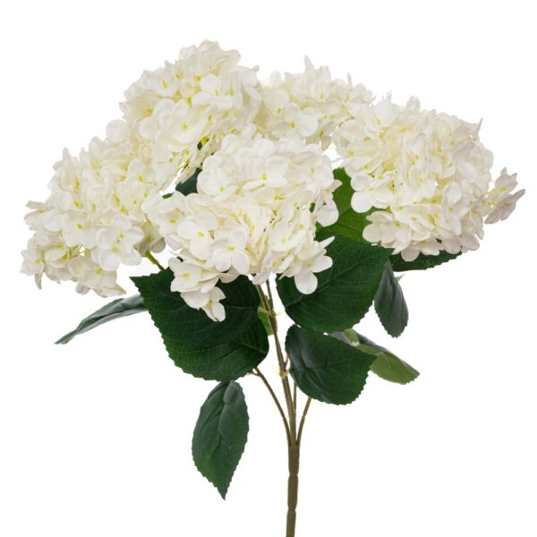 ΜΠΟΥΚΕΤΟ ΚΡΕΜ ΟΡΤΑΝΣΙΑ Χ5 REAL TOUCH 48ΕΚ Φ30ΕΚ