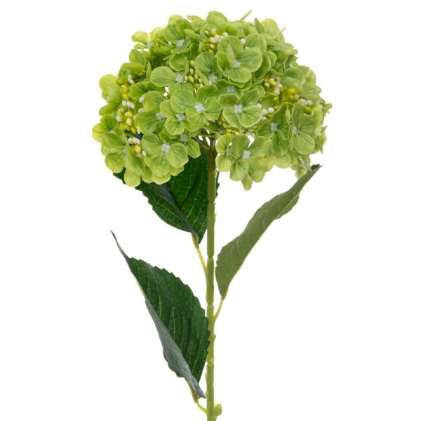 ΓΙΓΑΣ ΚΛΑΔΙ ΜΕ ΠΡΑΣΙΝΗ ΟΡΤΑΝΣΙΑ REAL TOUCH Φ18Χ61