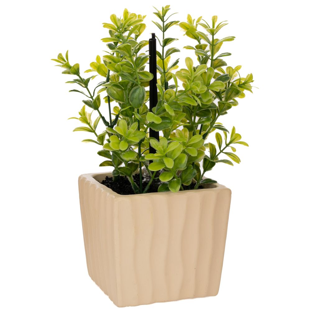 ΠΡΑΣΙΝΑΔΑ ΣΕ ΚΕΡΑΜΙΚΟ ΚΑΣΠΩ ΜΑΖΙ ΜΕ ΑΡΩΜΑΤΙΚΟ (JADE DRAGON TEA FRAGRANCE) 15Χ12Χ27ΕΚ ΠΡΑΣΙΝΑΔΑ ΣΕ ΚΕΡΑΜΙΚΟ ΚΑΣΠΩ ΜΑΖΙ ΜΕ ΑΡΩΜΑΤΙΚΟ (JADE DRAGON TEA FRAGRANCE) 15Χ12Χ27ΕΚ