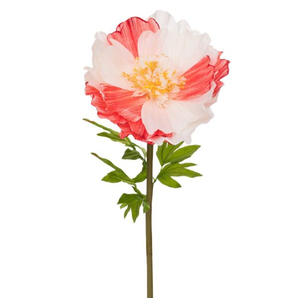 ΓΙΓΑΣ ΚΛΑΔΙΑ ΠΑΙΩΝΙΑΣ ΚΟΚΚΙΝΟ  ΜΠΕΖ 40Χ40Χ115ΕΚ