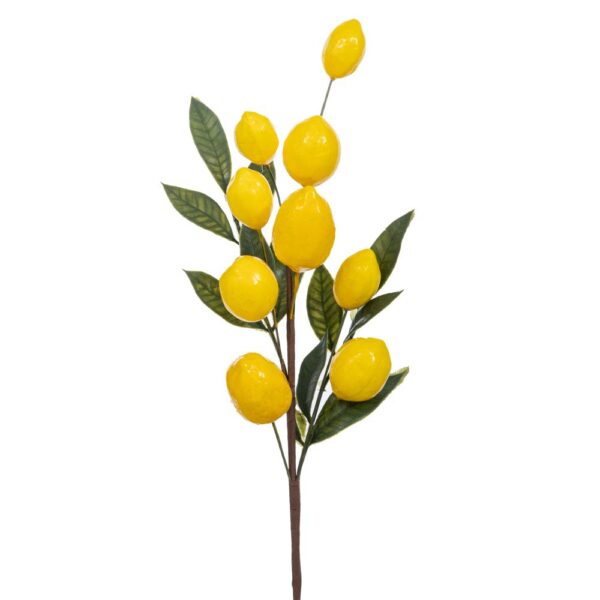 ΚΛΑΔΙ ΜΕ ΛΕΜΟΝΙΑ 60ΕΚ