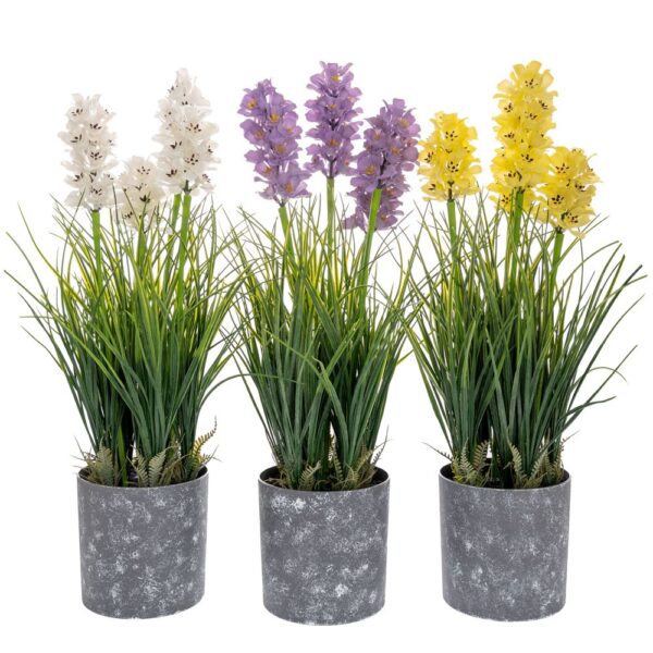 ΓΛΑΣΤΡΑΚΙ 13Χ52ΕΚ ΥΑΚΙΝΘΟΣ 3 ΧΡΩΜΑΤΑ ΣΕ ΓΚΡΙ ΠΛΑΣΤΙΚΟ ΚΑΣΠΩ