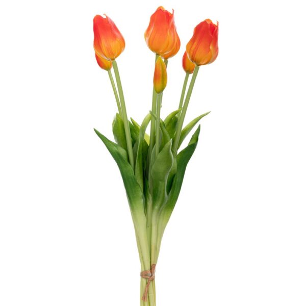 ΤΟΥΛΙΠΑ Χ7 ΠΟΡΤΟΚΑΛΙ ΜΠΟΥΚΕΤΟ