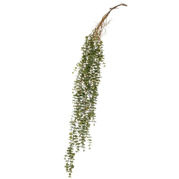 ΚΡΕΜΑΣΤΗ ΡΙΖΑ ΕΥΚΑΛΥΠΤΟΣ 100ΕΚ ΠΡΑΣΙΝΗ