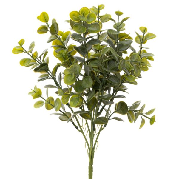 ΡΙΖΑ ΕΥΚΑΛΥΠΤΟΣ 40ΕΚ ΠΡΑΣΙΝΗ