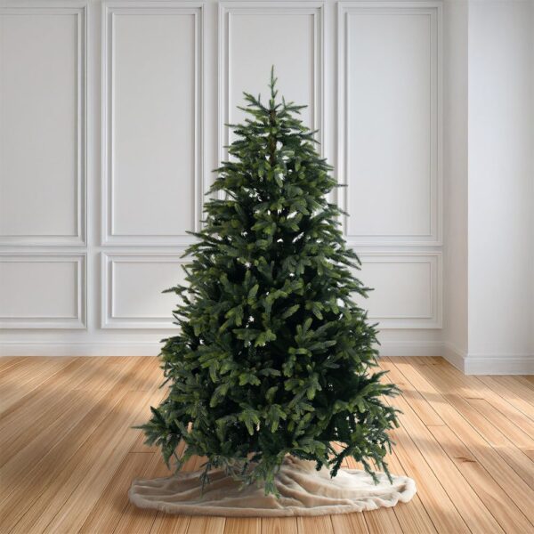 ΔΕΝΤΡΟ FRASER FIR 240ΕΚ
