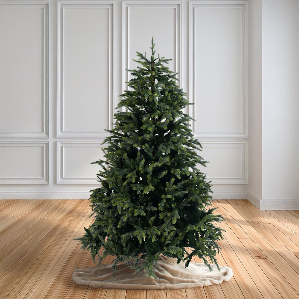 ΔΕΝΤΡΟ FRASER FIR 240ΕΚ ΔΕΝΤΡΟ FRASER FIR 240ΕΚ