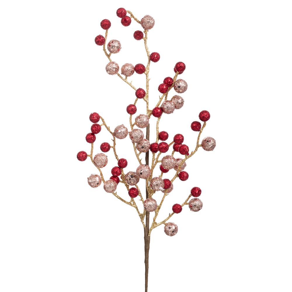 ΚΛΑΔΙ ΜΕ ΣΑΜΠΑΝΙ ΚΑΙ ΣΚ.ΚΟΚΚΙΝΑ BERRIES 53ΕΚ ΚΛΑΔΙ ΜΕ ΣΑΜΠΑΝΙ ΚΑΙ ΣΚ.ΚΟΚΚΙΝΑ BERRIES 53ΕΚ