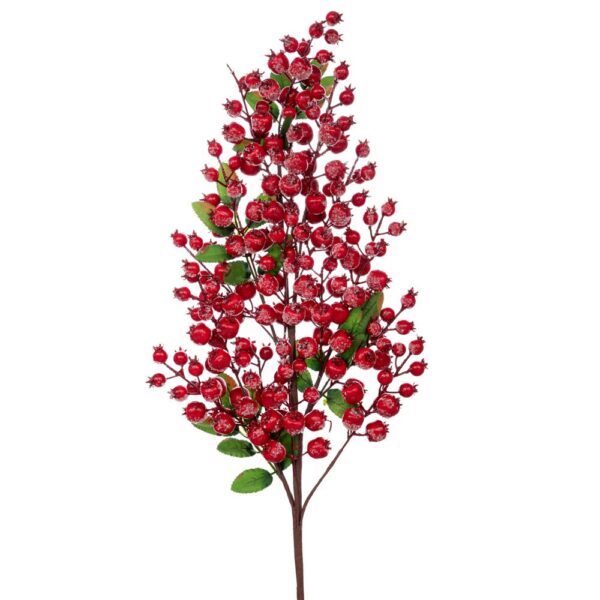 ΚΛΑΔΙ ΜΕ KOKKINA BERRIES 90ΕΚ