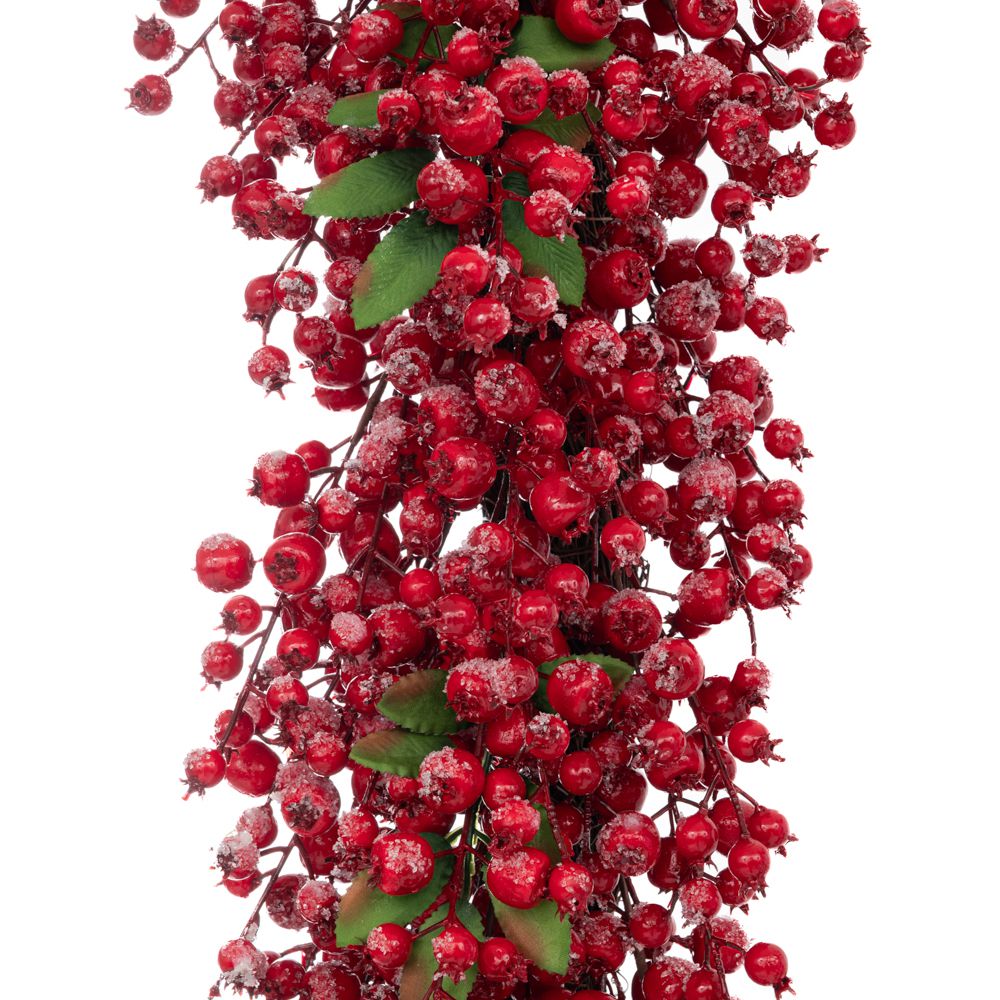 ΚΟΚΚΙΝΗ ΚΛΑΔΑ ΜΕ BERRIES 195ΕΚ ΚΟΚΚΙΝΗ ΚΛΑΔΑ ΜΕ BERRIES 195ΕΚ