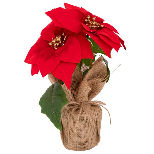 ΚΟΚΚΙΝΟ ΑΛΕΞΑΝΔΡΙΝΟ ΓΛΑΣΤΡΑΚΙ  ΣΕ ΤΣΟΥΒΑΛΙ Φ9Χ22Χ30ΕΚ