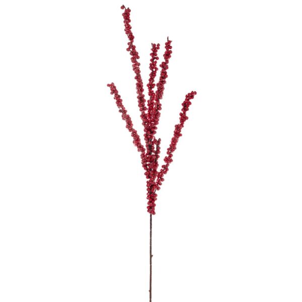 ΚΛΑΔΙ ΜΕ KOKKINA BERRIES 86 ΕΚ