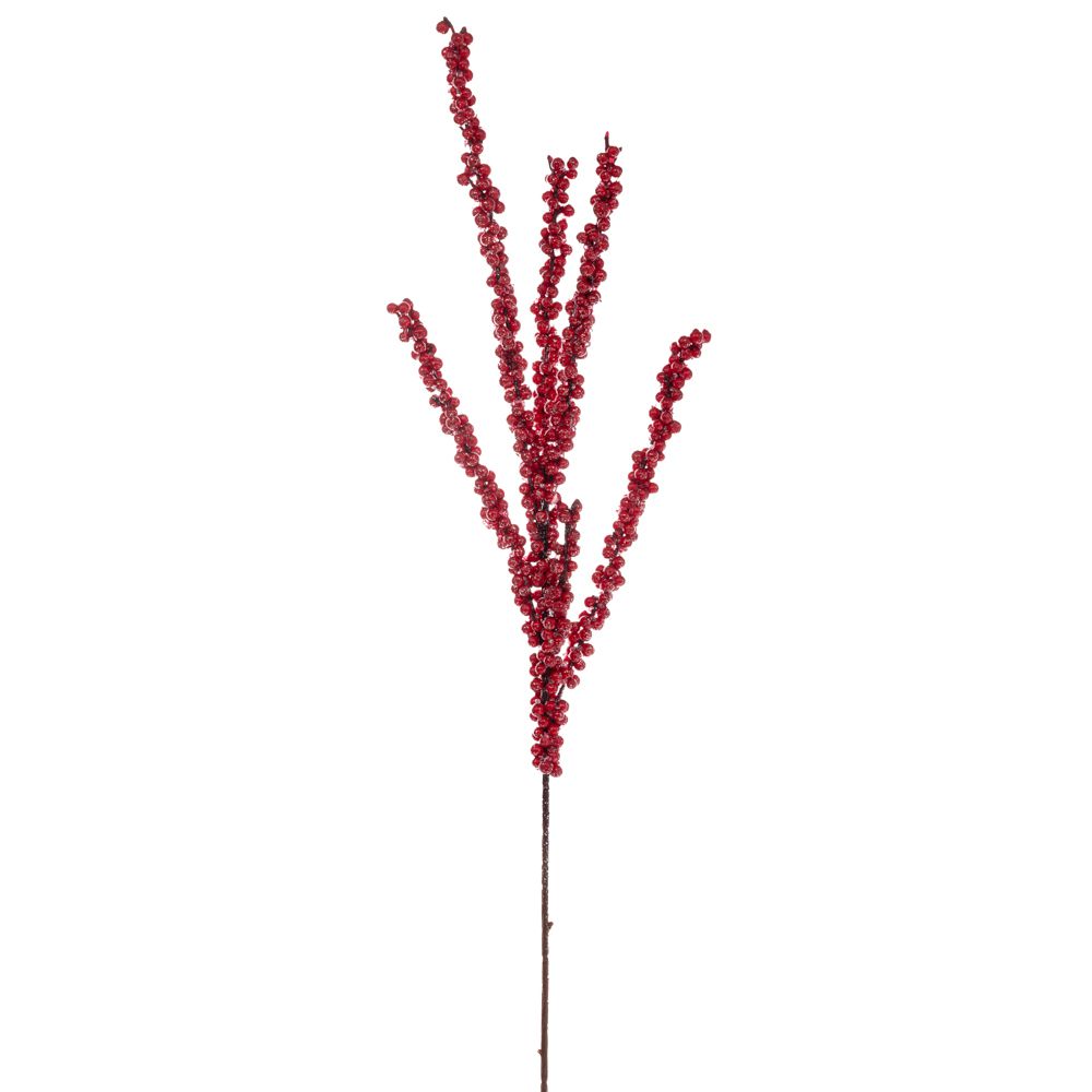 ΚΛΑΔΙ ΜΕ KOKKINA BERRIES 86 ΕΚ ΚΛΑΔΙ ΜΕ KOKKINA BERRIES 86 ΕΚ