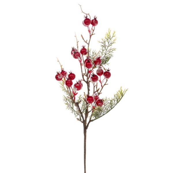 ΧΙΟΝΙΣΜΕΝΟ ΚΛΑΔΙ ΜΕ KOKKINA BERRIES 53 ΕΚ
