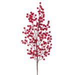ΚΛΑΔΙ ΜΕ ΚΟΚΚΙΝΑ BERRIES 73ΕΚ
