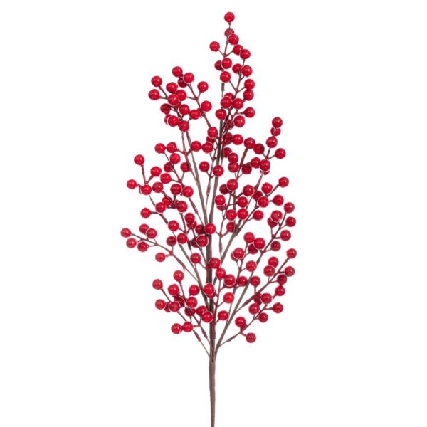 ΚΛΑΔΙ ΜΕ ΚΟΚΚΙΝΑ BERRIES 73ΕΚ